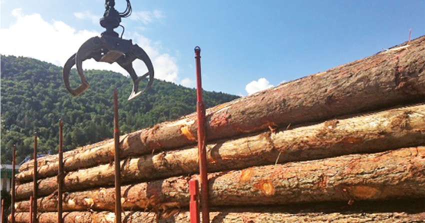 Gorza srl - Imballi legno - Chi siamo - Storia