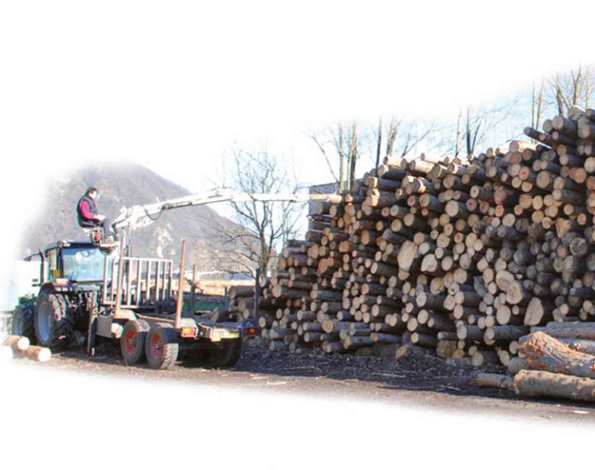 Gorza srl - Imballi legno - Chi siamo